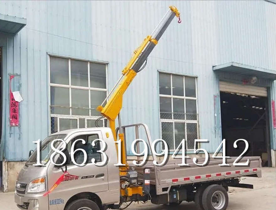 苏澳镇车载吊机仓库小型价格车载吊机可拆卸车载吊机220v移动吊机12/24V车载吊出租